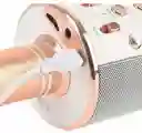 Micrófono Karaoke Bluetooth Ws 858