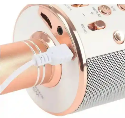 Micrófono Karaoke Bluetooth Ws 858