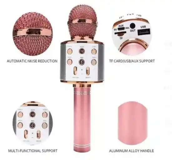 Micrófono Karaoke Bluetooth Ws 858