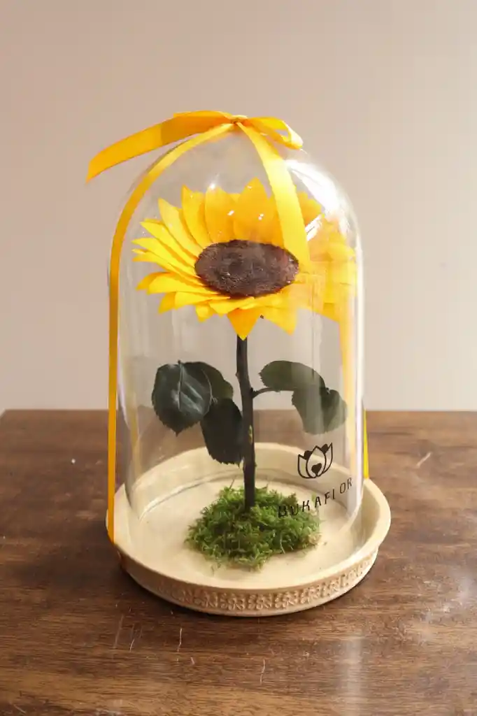 Girasol Preservado
