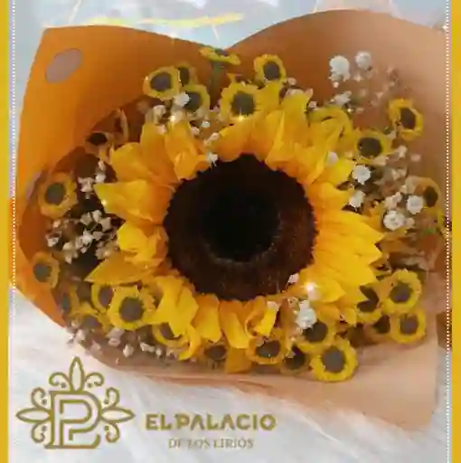 Sol De Girasol