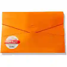 Carpeta Seguridad Oficio Con Caucho Naranja