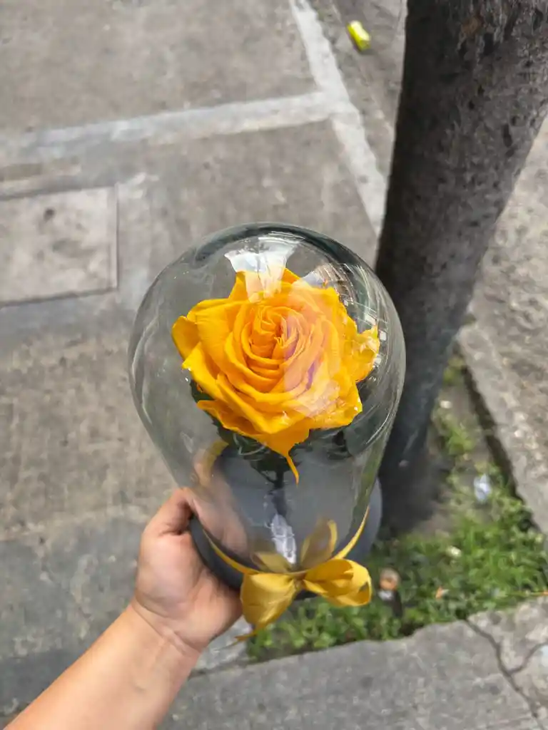 Rosa Preservada Amarilla