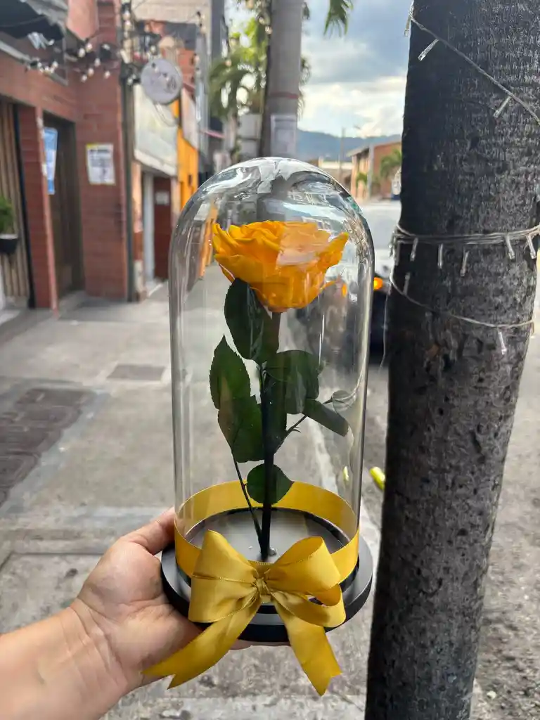 Rosa Preservada Amarilla