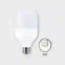 Bombillo Toledo Led 30w Luz Blanca