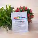 Set Pulseras 7 Chakras Y Ojo Turco Para Compartir - Manillas De Protección