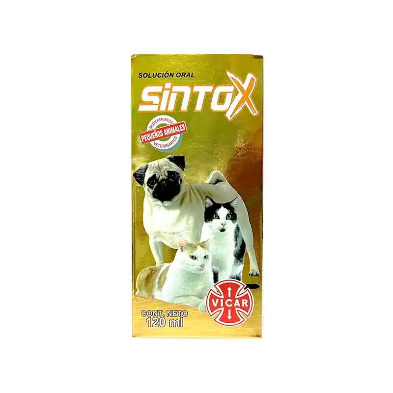 Sintox 120 Ml