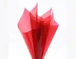 Papel Celofán Rojo X 1