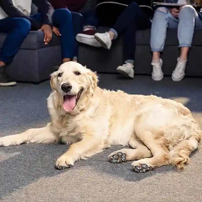 Almohadillas Antideslizantes L