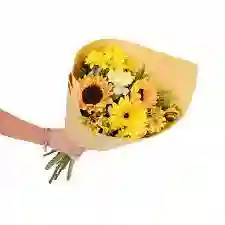 Flores Amarilla Girasol