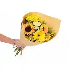 Flores Amarilla Girasol