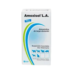 Amoxisol 50ml