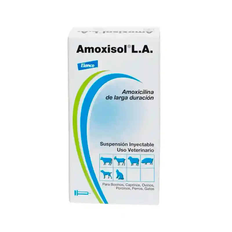 Amoxisol 50ml