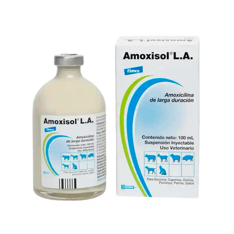 Amoxisol 100ml