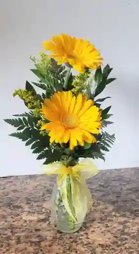 Solitario De Gerberas Y Solidago