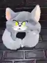 Peluche Cojín Cuello Con Gorro Tom