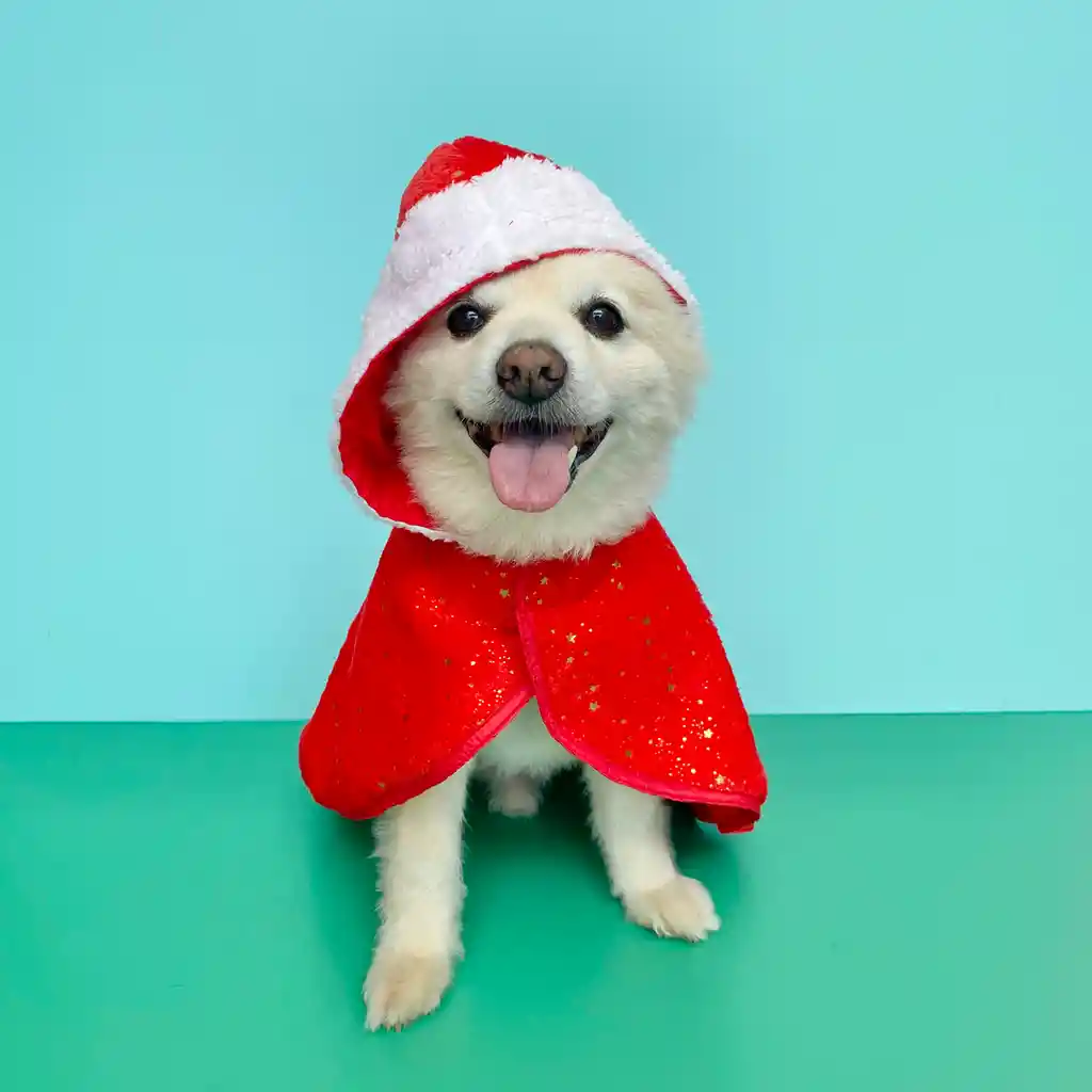 Capa 4xl Roja Estrellas Doradas Navidad