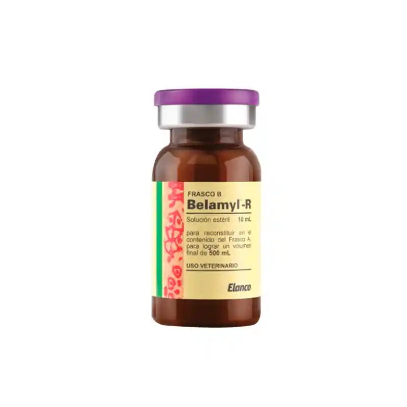 Belamyl-r 10 Ml