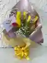 Tulipanes