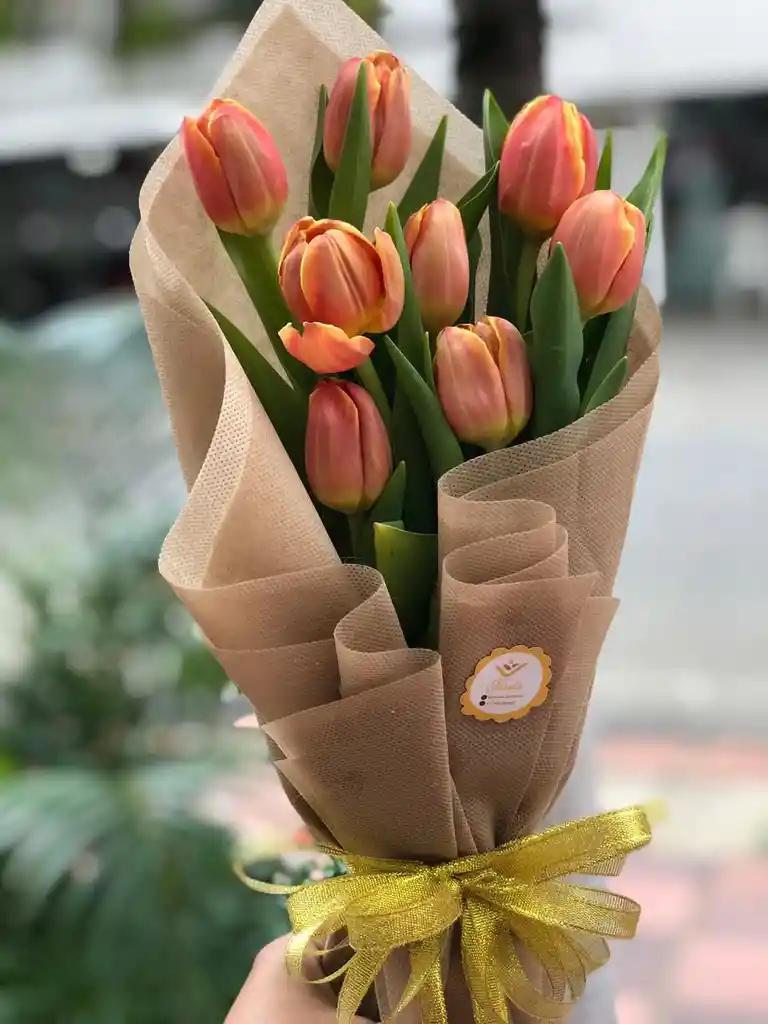 Tulipanes