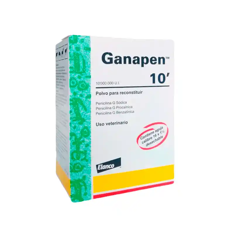 Ganapen 10.000.000 Ui