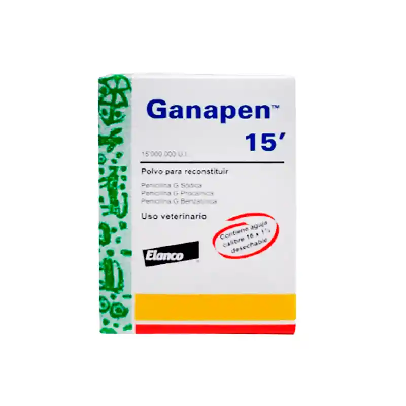Ganapen 15.000.000 Ui