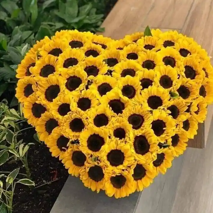 Bouquet De Corazón De Girasoles