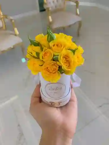 Balde Mini De Rosas Amarillas