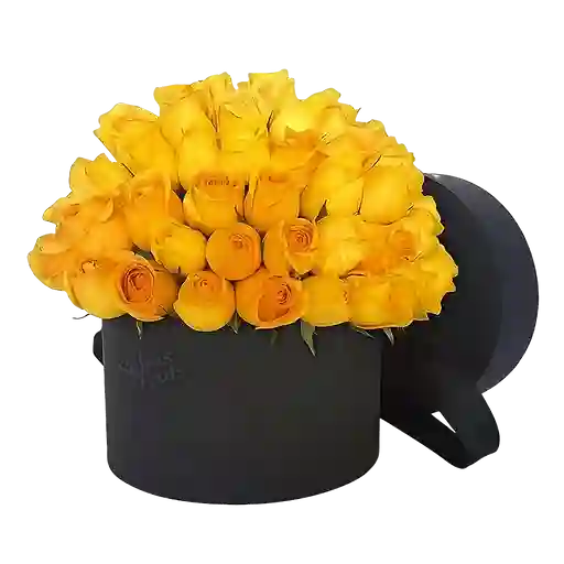 Caja Negra De Rosas Amarillas