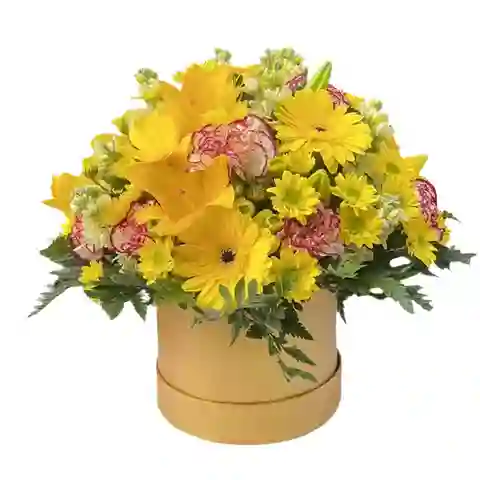 Caja De Lirios, Gerberas, Claveles Y Cristansemos