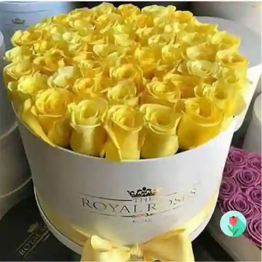 Caja Grande De Rosas Amarillas