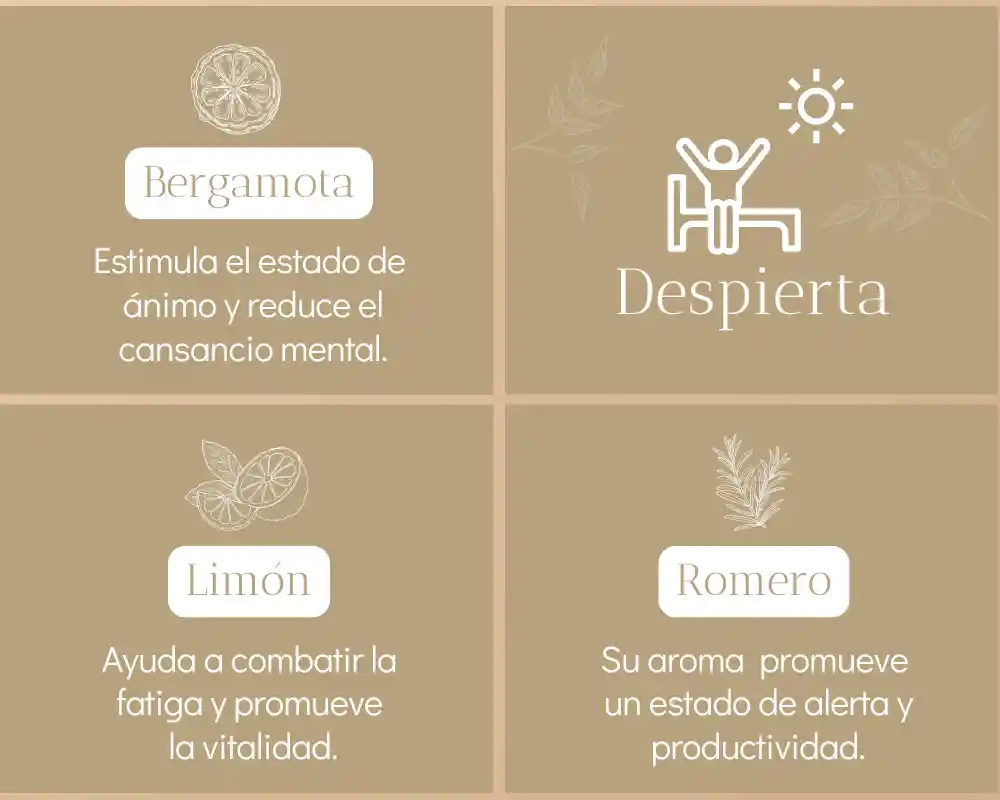 Kit Despierta