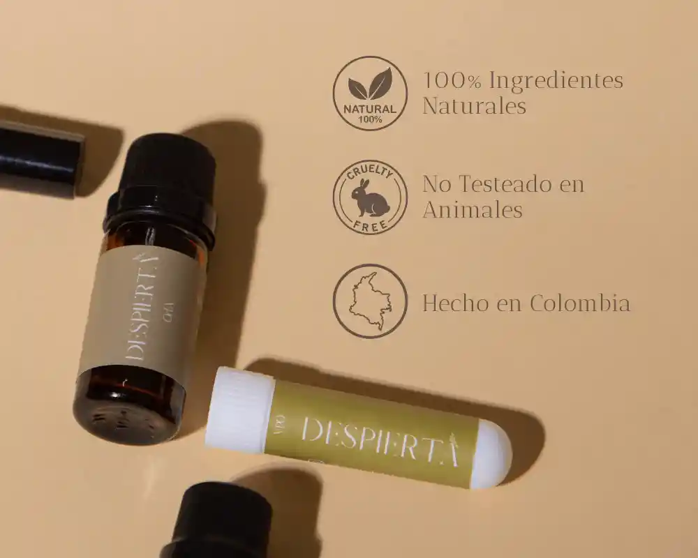Kit Despierta