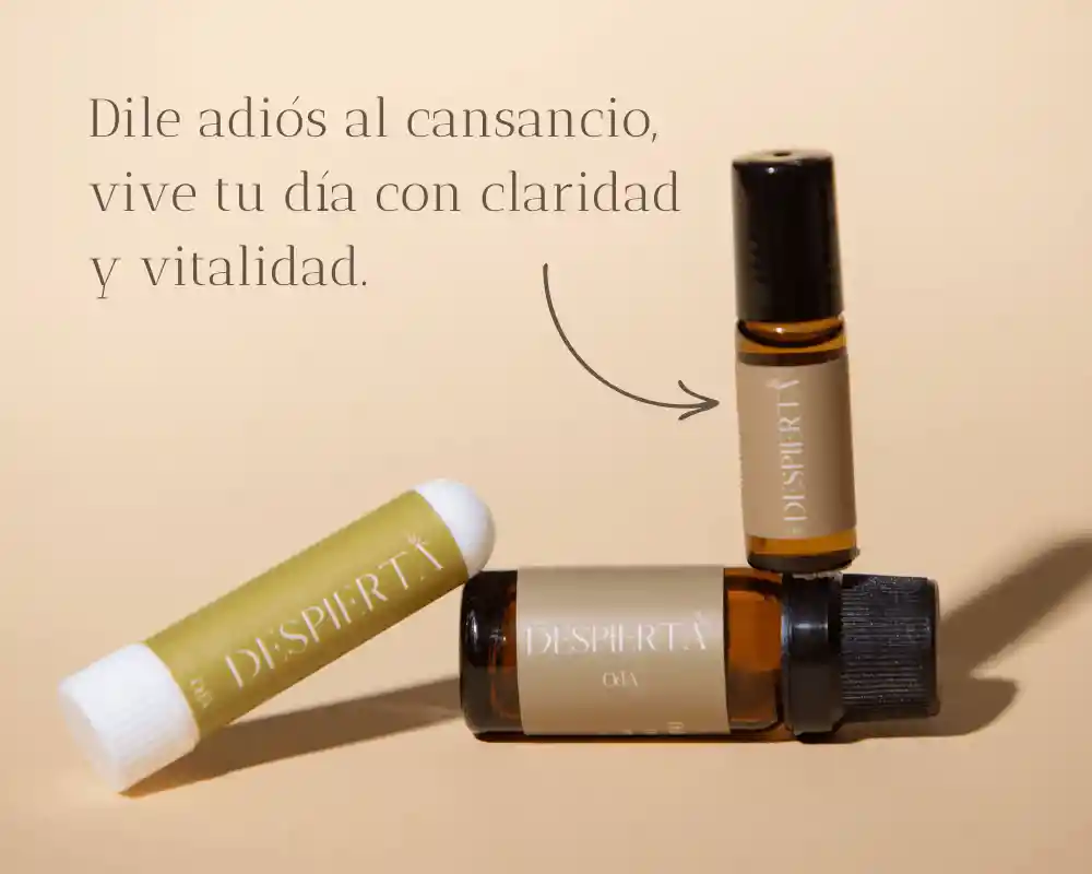 Kit Despierta
