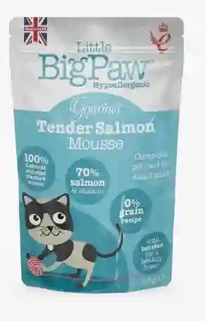 Big Paw Fel Gourmet Atlantic Salmon Pouch X 85 Gr