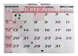 Calendario Programador Del Año En Curso