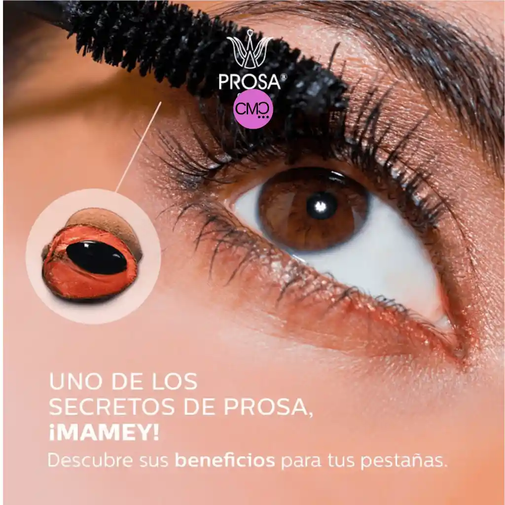 Pestañina De Mamey Prosa