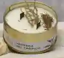 Vela Aromaticaverbena Del Tropico