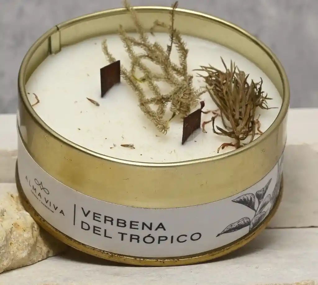Vela Aromaticaverbena Del Tropico