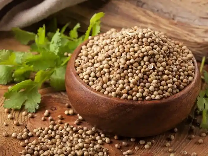 Cilantro En Pepa 500gr