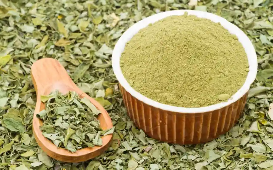 Moringa En Polvo 500gr