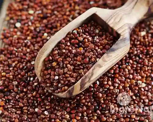 Quinua Roja 500gr