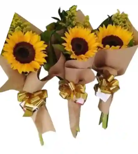 Girasol X 1 Dia De Las Flores Amarillas