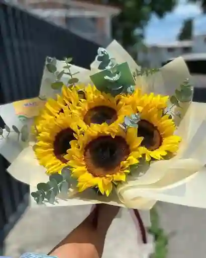 6 Girasoles Para Ti
