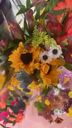 Girasol Con Astromelia Margarita