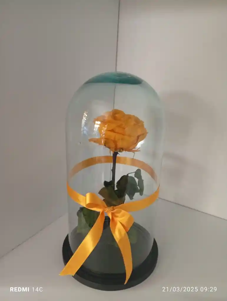 Rosa Preservada