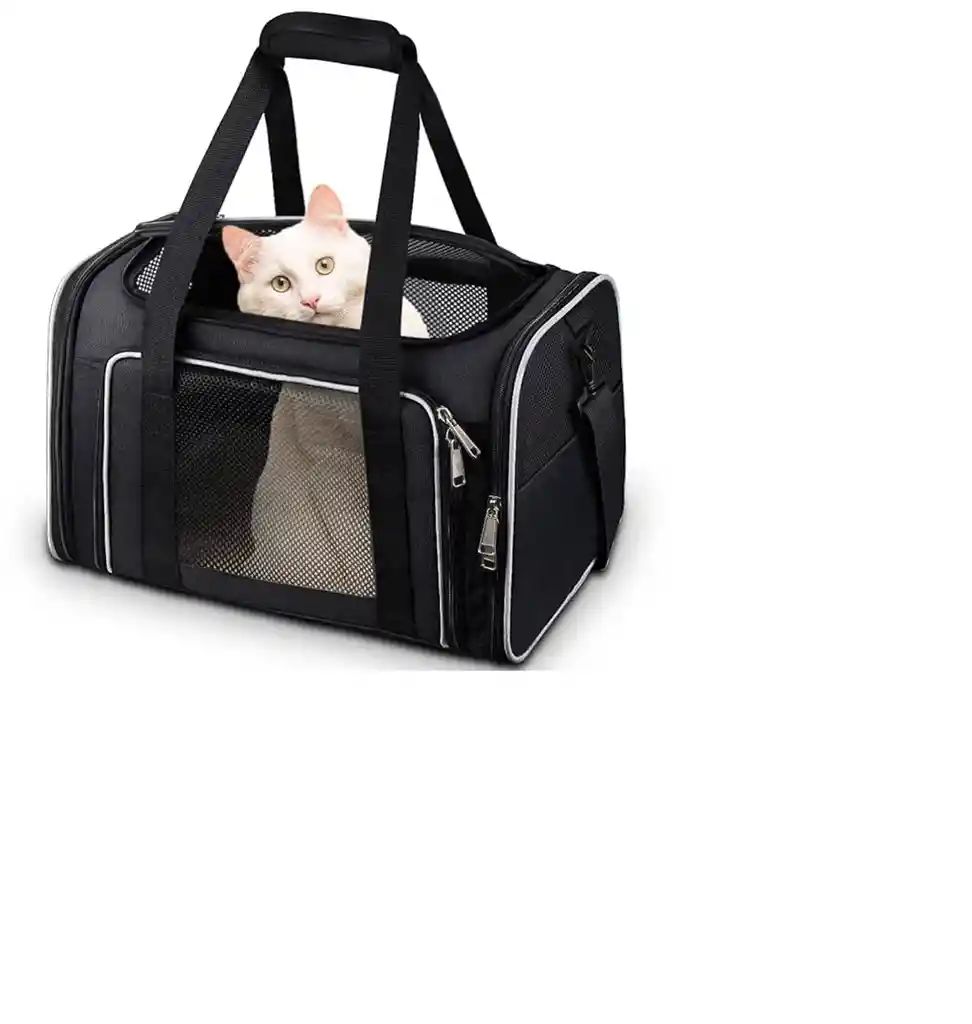 Transportadora Para Mascotas De Aviones