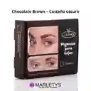 Kit Pigmento Para Cejas J Denis - Tono Chocolate Brown