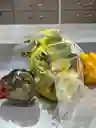 Combo Primavera
