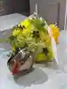 Combo Primavera